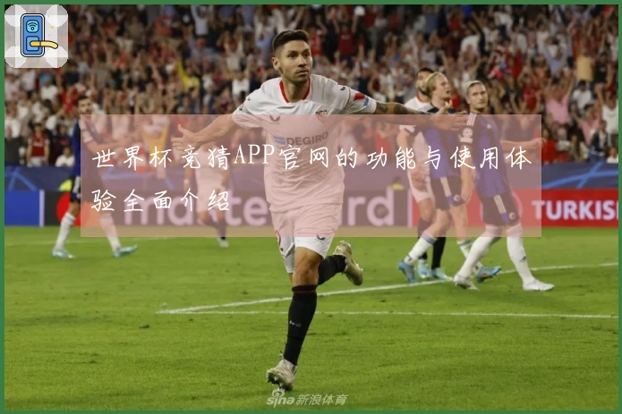 世界杯竞猜APP官网的功能与使用体验全面介绍