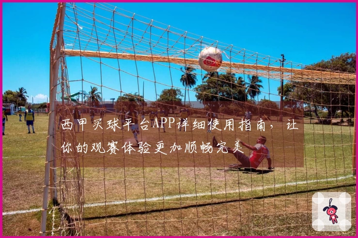 西甲买球平台APP详细使用指南,让你的观赛体验更加顺畅完美