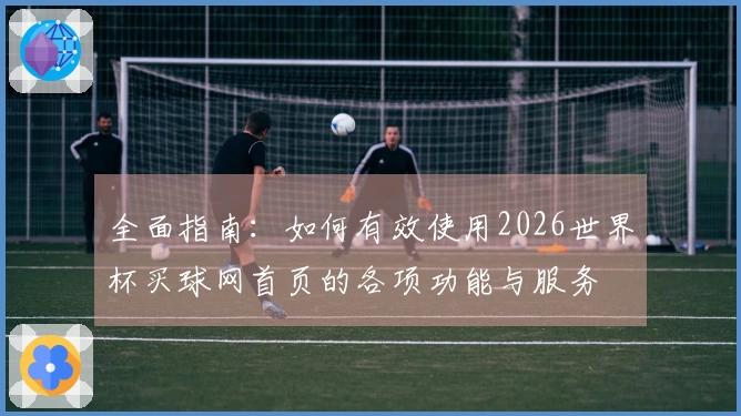 全面指南：如何有效使用2026世界杯买球网首页的各项功能与服务