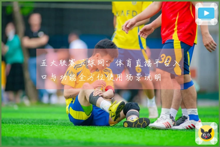 五大联赛买球网：体育直播平台入口与功能全方位使用场景说明