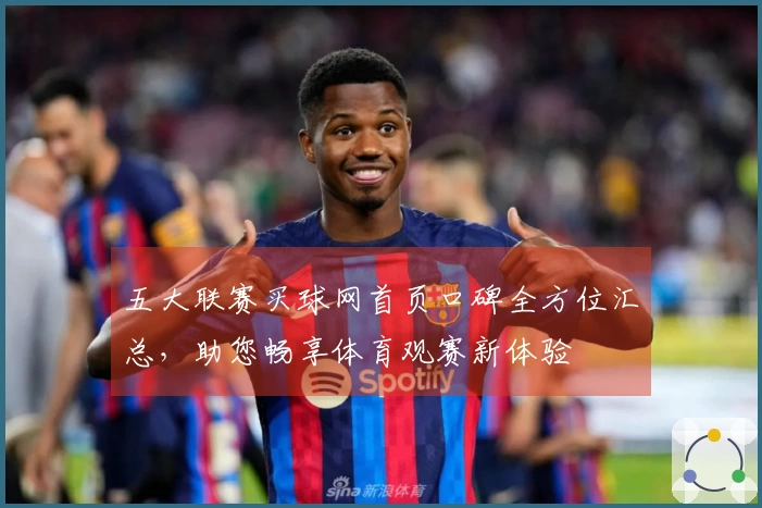 五大联赛买球网首页口碑全方位汇总，助您畅享体育观赛新体验
