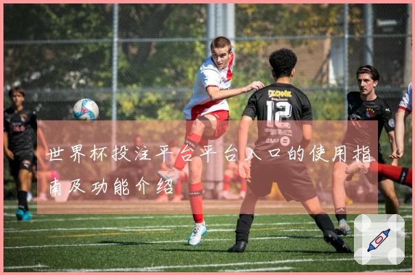 世界杯投注平台平台入口的使用指南及功能介绍