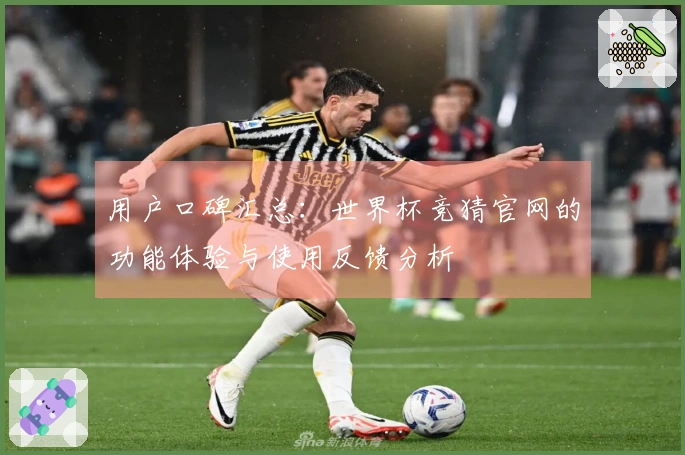 用户口碑汇总：世界杯竞猜官网的功能体验与使用反馈分析