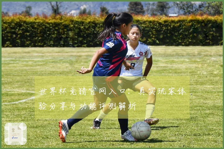 世界杯竞猜官网入口：真实玩家体验分享与功能评测解析