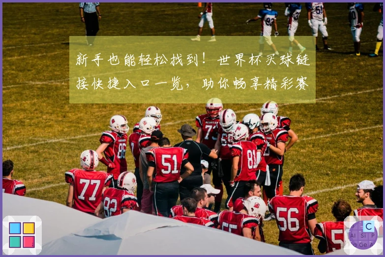 新手也能轻松找到！世界杯买球链接快捷入口一览，助你畅享精彩赛事直播