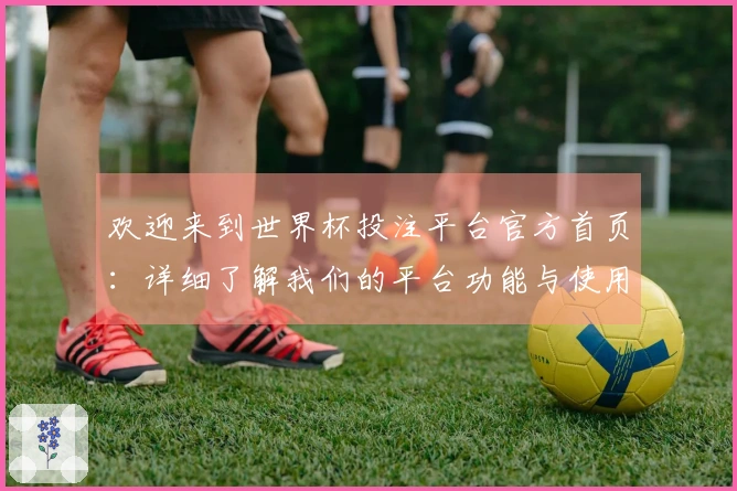 欢迎来到世界杯投注平台官方首页：详细了解我们的平台功能与使用体验