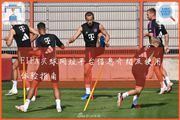FIFA买球网址平台信息介绍及使用体验指南