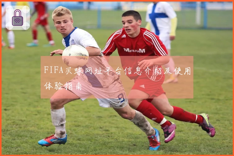 FIFA买球网址平台信息介绍及使用体验指南