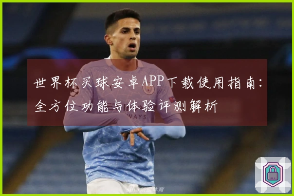 世界杯买球安卓APP下载使用指南：全方位功能与体验评测解析