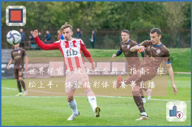 世界杯官方投注平台新人指南：轻松上手，体验精彩体育赛事直播