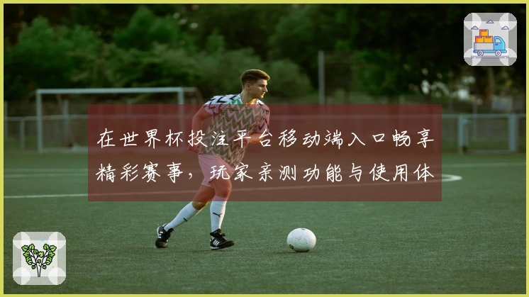 在世界杯投注平台移动端入口畅享精彩赛事，玩家亲测功能与使用体验分享