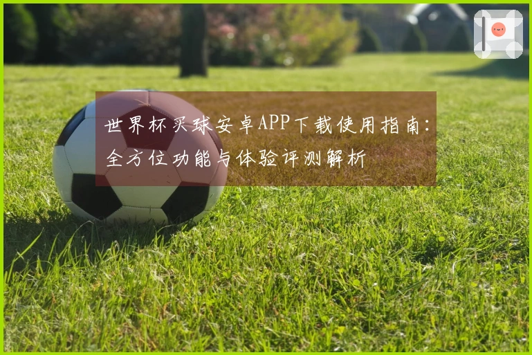 世界杯买球安卓APP下载使用指南：全方位功能与体验评测解析